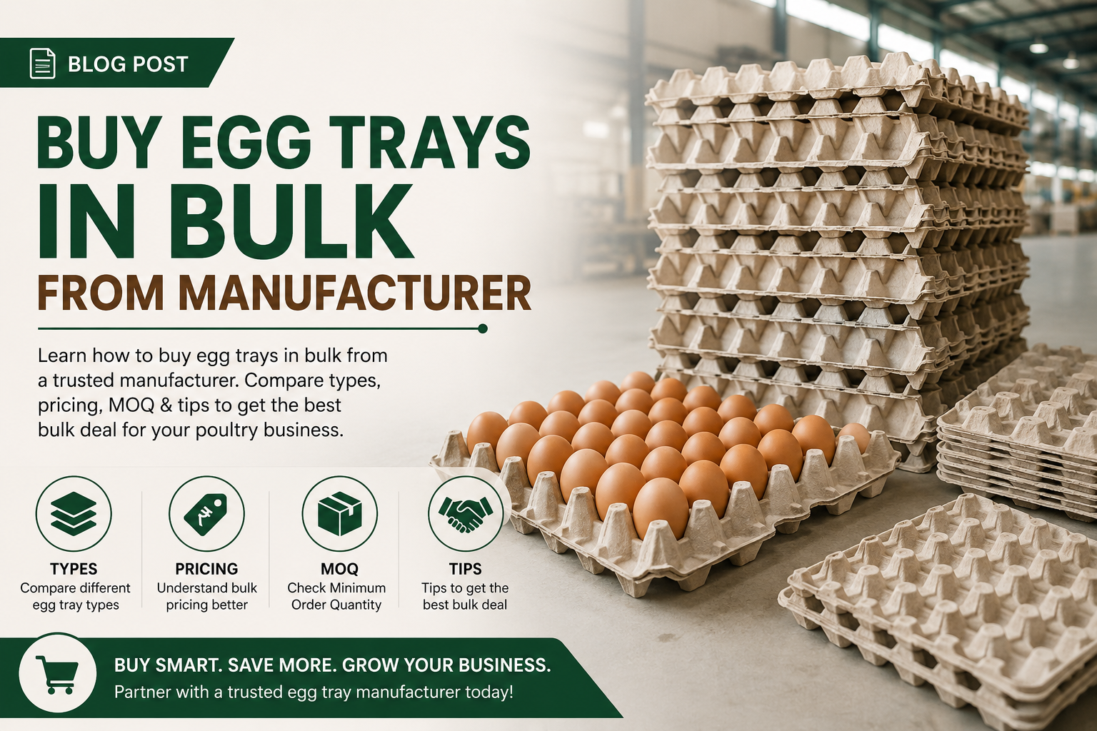 Buy Egg Trays in Bulk from Manufacturer